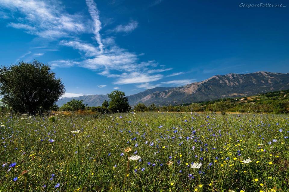 San Rufo, all'incrocio tra Vallo e Cilento — Vallo Più