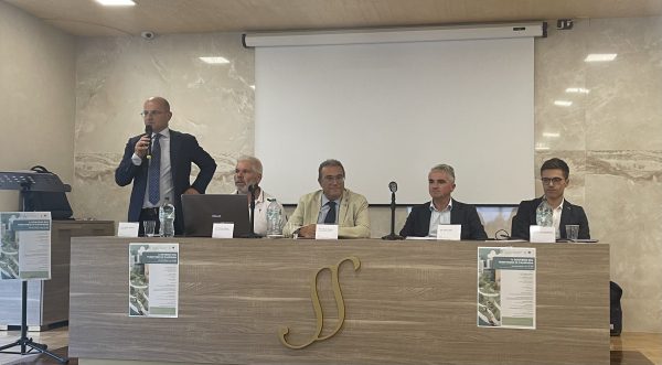 Convegno Nicola Senatore