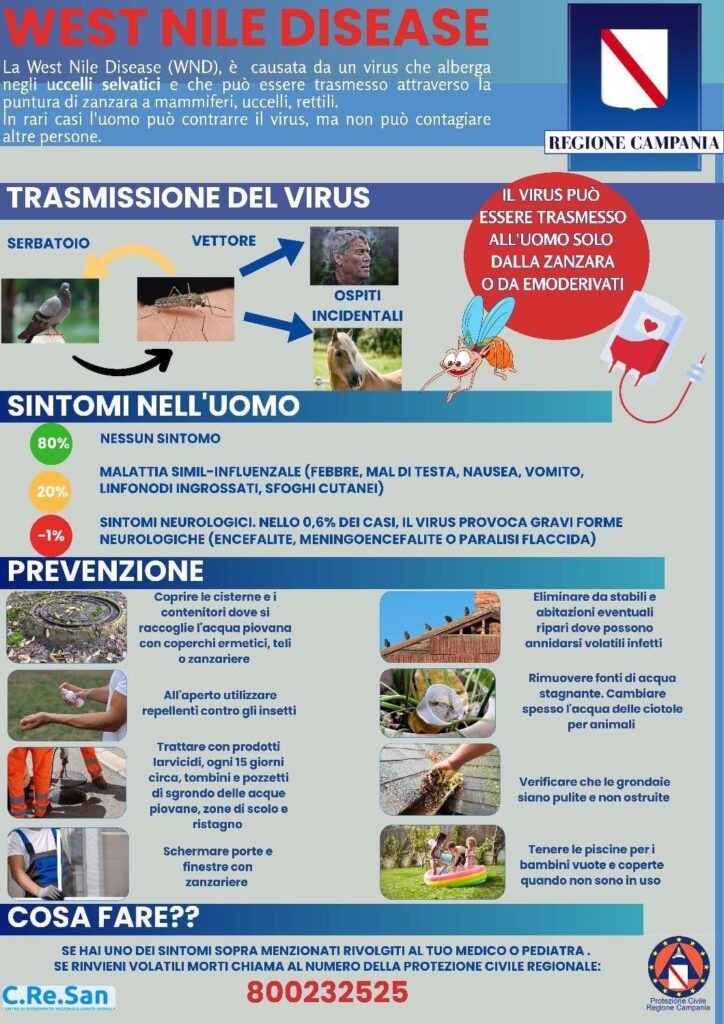 Scopri cos'è la West Nile Disease, i sintomi nell'uomo e come prevenirla. L'Asl Salerno raccomanda l'uso di repellenti e la bonifica dei ristagni d'acqua. Cosa fare in caso di sintomi
