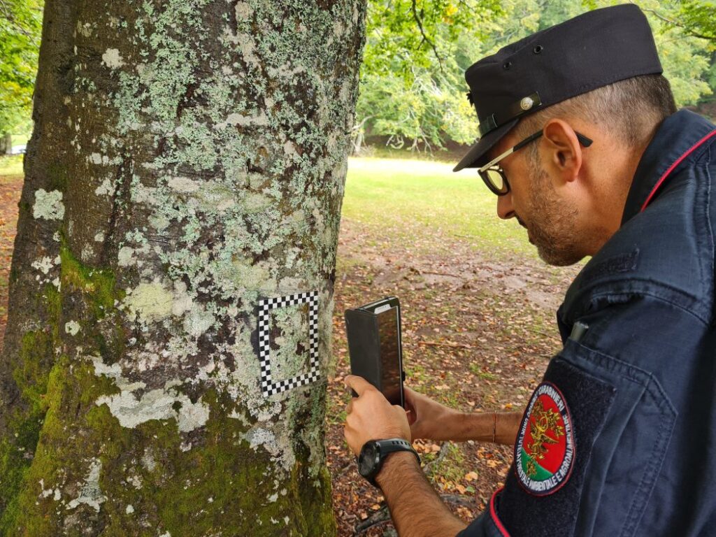 Foreste Italiane studio 25enale dei Carabinieri Forestali